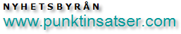 Punktinsatser